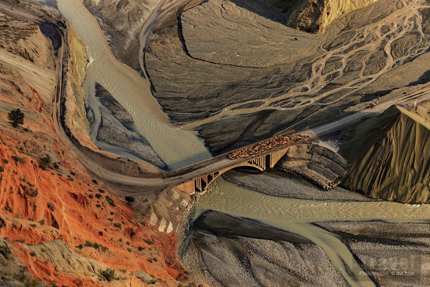 TPOTY People's Choice Image - www.tpoty.com/peoples-vote