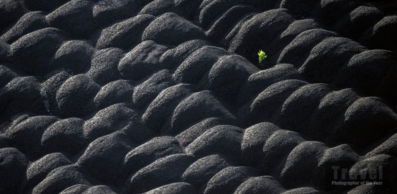 TPOTY People's Choice Image - www.tpoty.com/peoples-vote